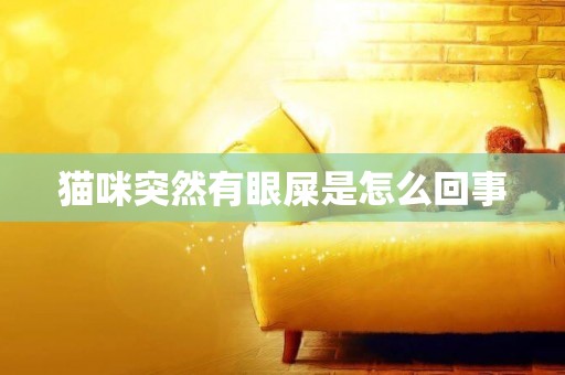 貓咪突然有眼屎是怎么回事