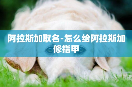 阿拉斯加取名-怎么給阿拉斯加修指甲