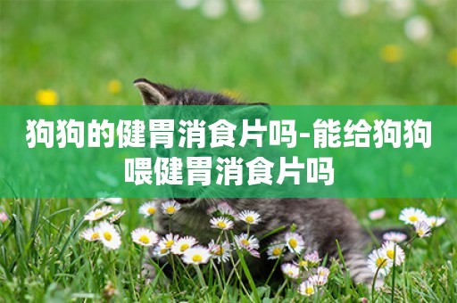 狗狗的健胃消食片嗎-能給狗狗喂健胃消食片嗎