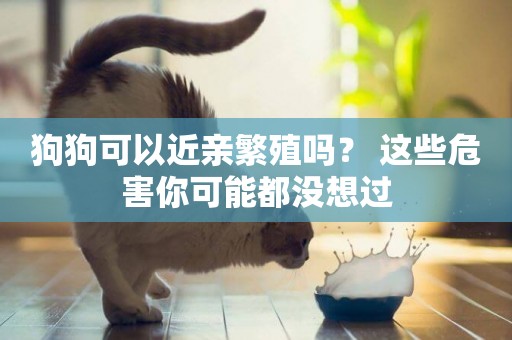 狗狗可以近親繁殖嗎？ 這些危害你可能都沒想過