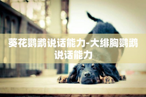 葵花鸚鵡說話能力-大緋胸鸚鵡說話能力