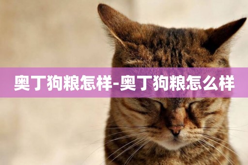 奧丁狗糧怎樣-奧丁狗糧怎么樣