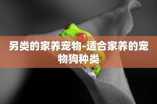 另類的家養寵物-適合家養的寵物狗種類