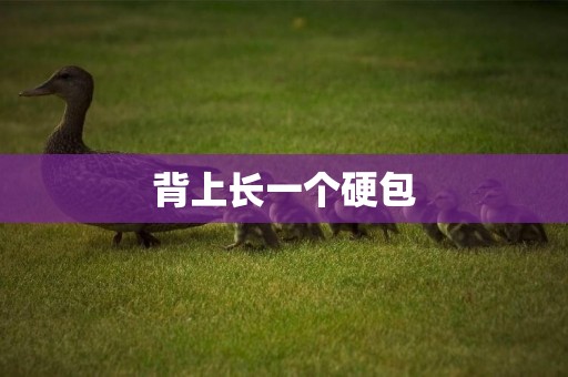 背上長一個硬包
