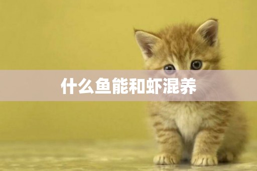 什么魚能和蝦混養