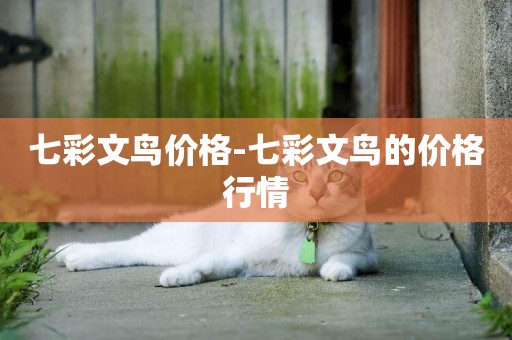 七彩文鳥價格-七彩文鳥的價格行情