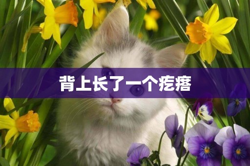 背上長了一個疙瘩
