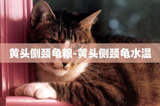 黃頭側頸龜糧-黃頭側頸龜水溫