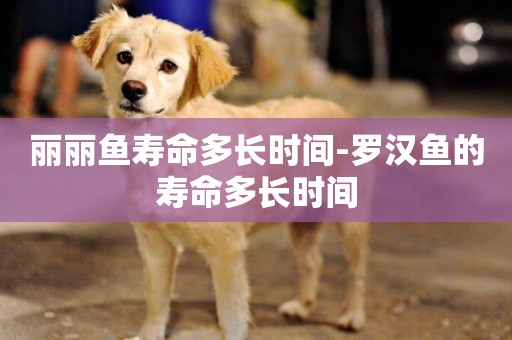 麗麗魚壽命多長時間-羅漢魚的壽命多長時間
