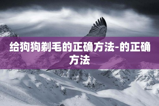 給狗狗剃毛的正確方法-的正確方法