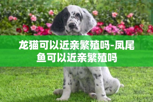龍貓可以近親繁殖嗎-鳳尾魚可以近親繁殖嗎
