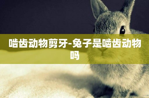 嚙齒動物剪牙-兔子是嚙齒動物嗎