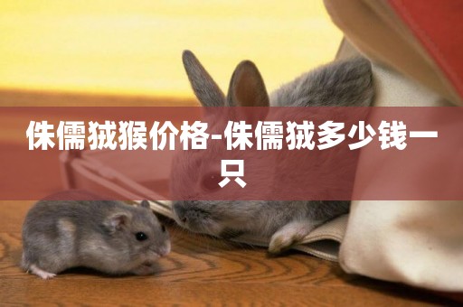 侏儒狨猴價格-侏儒狨多少錢一只