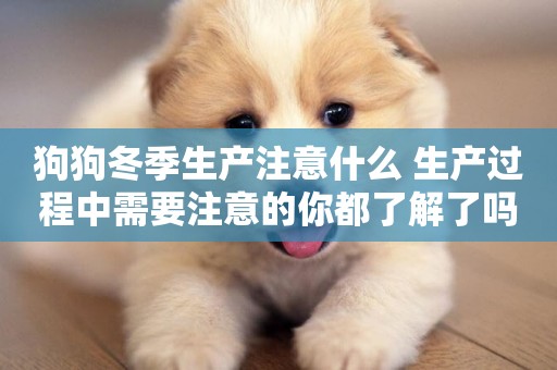 狗狗冬季生產注意什么 生產過程中需要注意的你都了解了嗎