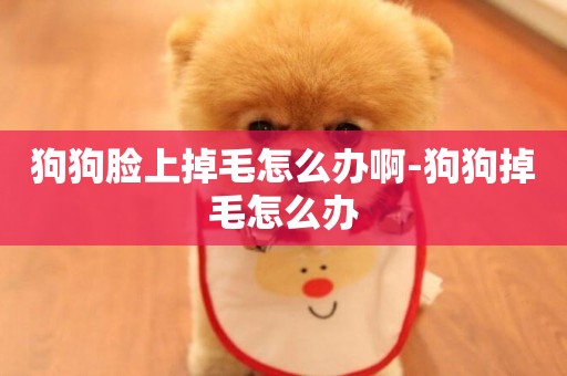 狗狗臉上掉毛怎么辦啊-狗狗掉毛怎么辦