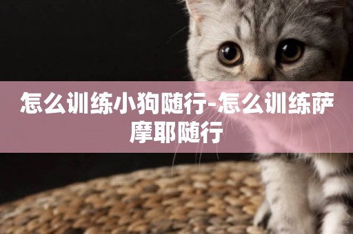怎么訓練小狗隨行-怎么訓練薩摩耶隨行