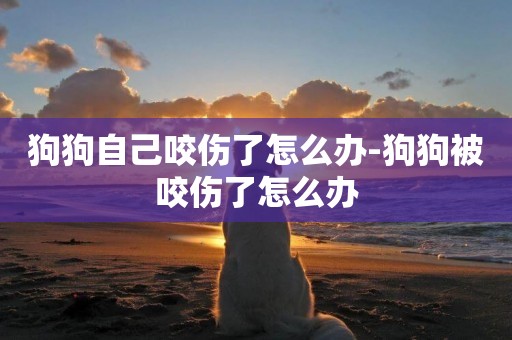 狗狗自己咬傷了怎么辦-狗狗被咬傷了怎么辦