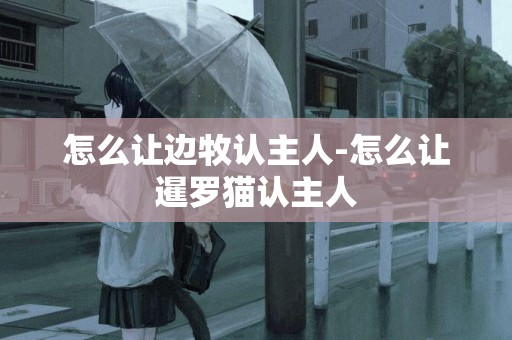 怎么讓邊牧認主人-怎么讓暹羅貓認主人