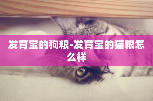 發育寶的狗糧-發育寶的貓糧怎么樣