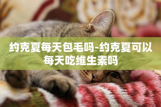 約克夏每天包毛嗎-約克夏可以每天吃維生素嗎