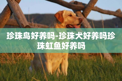 珍珠鳥好養嗎-珍珠犬好養嗎珍珠虹魚好養嗎