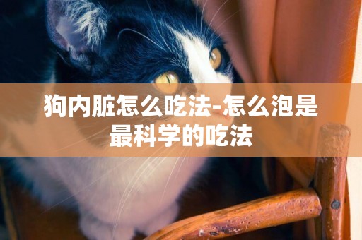 狗內臟怎么吃法-怎么泡是最科學的吃法