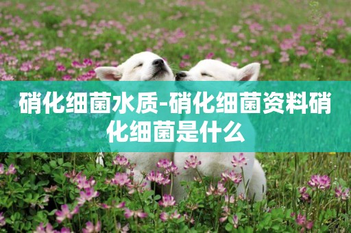 硝化細菌水質-硝化細菌資料硝化細菌是什么