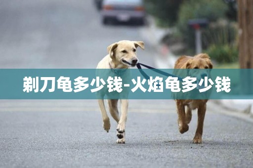 剃刀龜多少錢-火焰龜多少錢