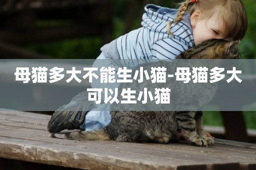 母貓多大不能生小貓-母貓多大可以生小貓