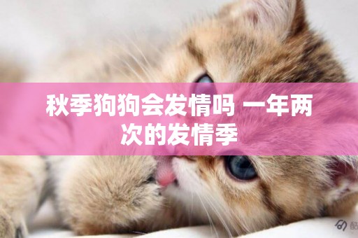 秋季狗狗會發情嗎 一年兩次的發情季