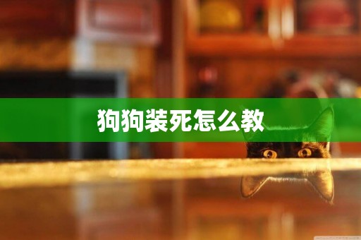 狗狗裝死怎么教