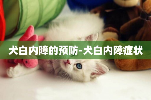 犬白內障的預防-犬白內障癥狀
