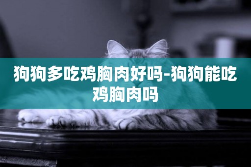 狗狗多吃雞胸肉好嗎-狗狗能吃雞胸肉嗎