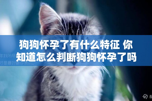 狗狗懷孕了有什么特征 你知道怎么判斷狗狗懷孕了嗎？