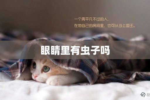 眼睛里有蟲子嗎
