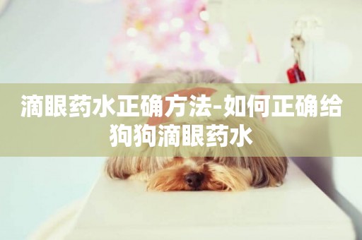 滴眼藥水正確方法-如何正確給狗狗滴眼藥水