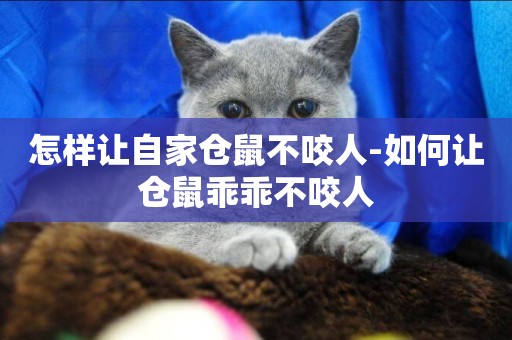 怎樣讓自家倉鼠不咬人-如何讓倉鼠乖乖不咬人