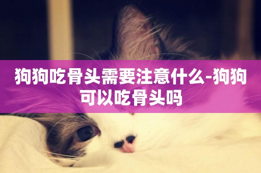 狗狗吃骨頭需要注意什么-狗狗可以吃骨頭嗎