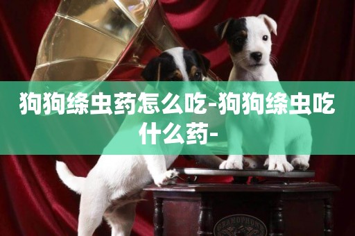 狗狗絳蟲藥怎么吃-狗狗絳蟲吃什么藥-