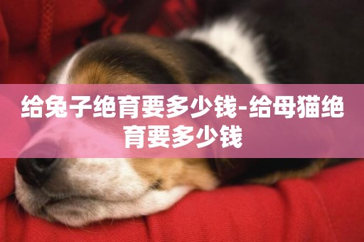 給兔子絕育要多少錢-給母貓絕育要多少錢