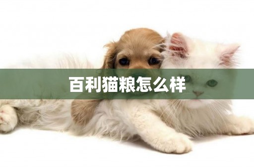 百利貓糧怎么樣