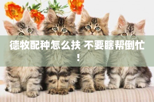 德牧配種怎么扶 不要瞎幫倒忙！