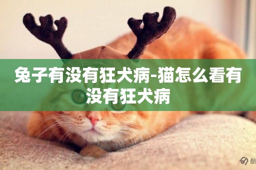 兔子有沒有狂犬病-貓怎么看有沒有狂犬病