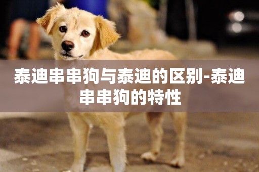 泰迪串串狗與泰迪的區別-泰迪串串狗的特性