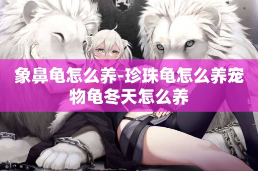 象鼻龜怎么養-珍珠龜怎么養寵物龜冬天怎么養