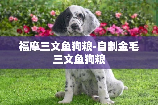福摩三文魚狗糧-自制金毛三文魚狗糧