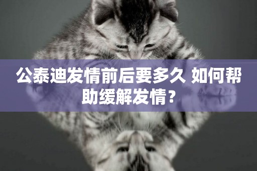 公泰迪發情前后要多久 如何幫助緩解發情？