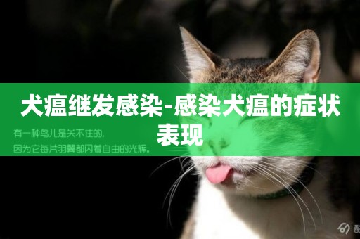 犬瘟繼發感染-感染犬瘟的癥狀表現