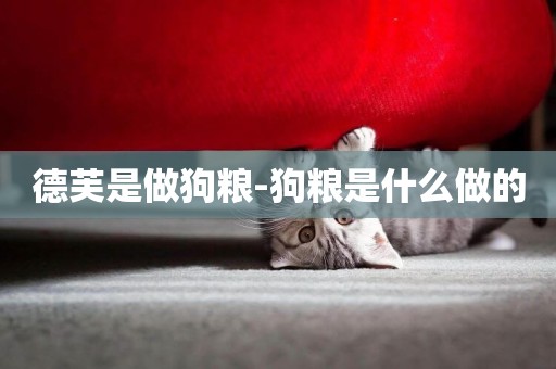 德芙是做狗糧-狗糧是什么做的