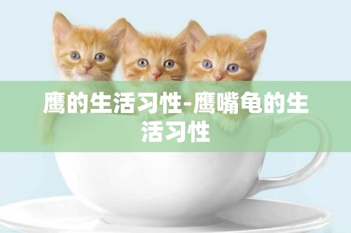鷹的生活習性-鷹嘴龜的生活習性